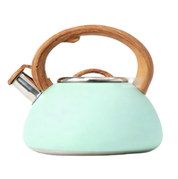 Bouilloire à thé sifflante en acier inoxydable avec revêtement de couleur personnalisé, pour cuisinière, pour la maison et la cuisine