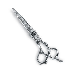 Tijeras de Peluquería Profesionales de Alta Calidad, Tijeras para Cortar el Cabello con Diseño Único para Uso en Salón, Más Vendidas - Product Image 1