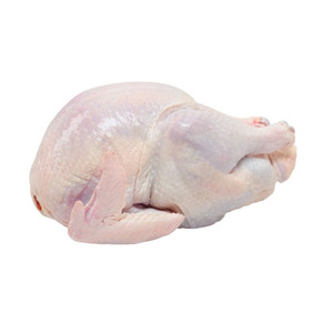 Frozen Whole <b>Chicken</b> Premium Grade Bulk Supply Wholesale for Global Food Markets - Product Image 5