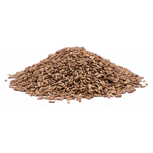 Semillas de cardo mariano auténticas de los principales exportadores de la India con precios competitivos para el suministro a granel y el etiquetado privado - Product Image 1