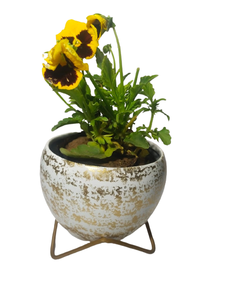 Support de plante en métal réglable de style moderne du milieu du siècle, élégant porte-plante d'intérieur pour la décoration de la maison - Product Image 3