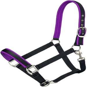 Professional <b>Equestrian</b> Nylon Horse Halter Riding Equipment Bulk Quantity Low Price Made in India Nylon Horse Halters - Product Image 5
