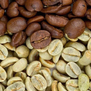 เมล็ดกาแฟโรบัสต้า S18 คั่วแบบฮันนี่ กาแฟบด ผลิตแบบ OEM สำหรับแบรนด์ค้าปลีกระดับพรีเมียมและเครือข่ายจำหน่าย - Product Image 3