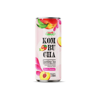 Kombucha Pêche en Gros : Boisson Digestive Énergisante, Thé Herbal Pétillant – Fabricant, Fournisseur en Vrac, Boissons Personnalisées OEM en Carton - Product Image 3
