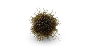 Brosse métallique en laiton sur mesure pour outils électriques ou nettoyage de tuyaux et polissage de tôles, disponible en gros - Product Image 2