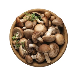 ผู้ผลิตเห็ดหอมดำแห้งธรรมชาติ - คุณภาพสูง หนา 1-2 ซม. รสชาติอูมามิ - Product Image 1