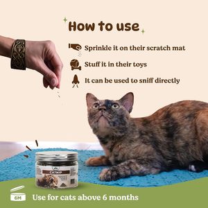 Poudre de Catnip Naturelle Séchée pour Chats, Herbe Fraîche, Feuilles de Catnip 20 Mesh, Catnip Broyé, Matière Végétale Premium pour Animaux de Compagnie, Vente en Gros - Product Image 4