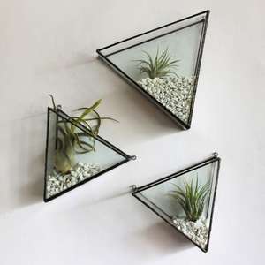 Terrario de Vidrio Geométrico Hecho a Mano para Pared |   Soporte Minimalista para Plantas de Interior para el Hogar y la Oficina - Product Image 1