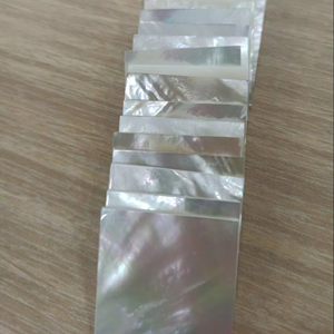 Fragments irréguliers de nacre pour projets artistiques et artisanaux - Product Image 1