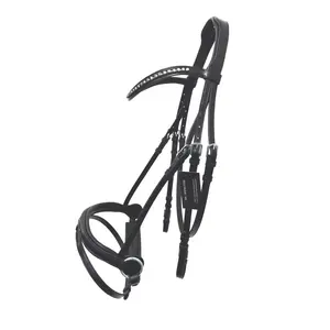 Horse Bridle In Parts