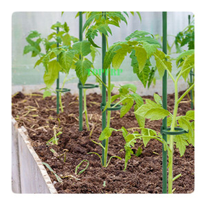 Wholesale Lightweight <b>Tomato</b> Plant <b>Support</b> Stake Small Greenhouse Shed for Plantation Farm Fence Post - Product Image 4