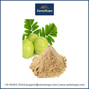 Poudre de fruit d'Amla 100% pure, poudre de jus d'Amla disponible à un prix compétitif en provenance d'Inde - Product Image 6