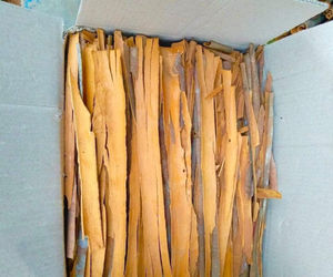 Canela Seca de Primera Calidad, Variedad Cassia, en Barra, Especias y Hierbas Individuales, Suministro a Granel de Fábrica de Exportación de Vietnam - Product Image 5
