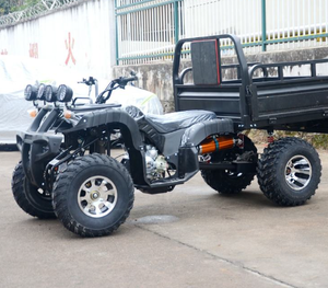 Quad LNA 250cc de style utilitaire à livraison rapide - Product Image 1
