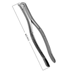 Professional Orthodontic Dental Extraction Forceps Tooth <b>Removing</b> <b>Tool</b> Surgical Dental Instruments ISO Approved - Product Image 2