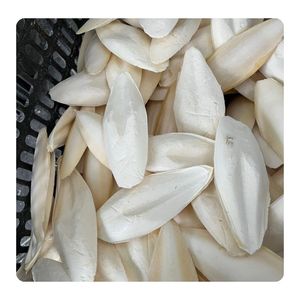 Os de Seiche de Qualité Supérieure pour Animaux de Compagnie – Prix de Gros Abordable, Riche en Calcium, Os de Seiche Naturel Premium, Approvisionnement en Vrac Direct Usine - Product Image 5