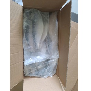 Filets de poisson Pangasius surgelés du Vietnam, qualité A/B, emballage en vrac IQF, 10-12 cm, avec peau, durée de conservation de 24 mois, produits de la mer - Product Image 4