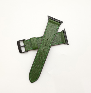 Correa de Cuero para Apple Watch Hecha a Mano, Modelo Castello Luxury Empire, Color Verde Oscuro, Cuero Vegetal Curtido, Forro de Poliéster de Alta Calidad, Tipo Cartera - Product Image 1