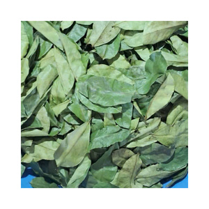 Feuilles de corossol séchées biologiques de qualité supérieure, feuilles entières de Graviola, sans OGM, pour la production alimentaire, emballage en vrac, vente en gros, base d'usine - Product Image 1