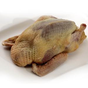 Pichón Congelado de Grado A, Carne de Pichón de Alta Calidad para Exportación al por Mayor - Product Image 2