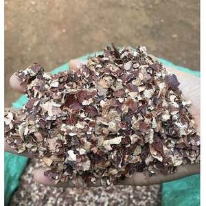 GIA NGUYEN Vente en gros de poudre de coque de noix de cajou, additifs alimentaires en provenance du Vietnam - Product Image 2