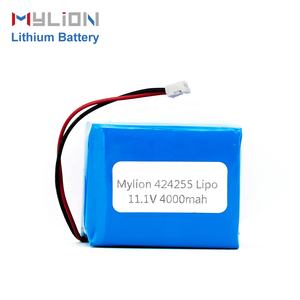 産業グレード 11.1V 5000mAh 3S2P 18650 LiFePO4 バッテリーパック PCM保護付き 機器メーカー向け12ヶ月保証 - Product Image 6