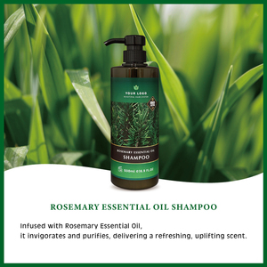แชมพูน้ำมันหอมระเหยโรสแมรี่ OEM |   บำรุงและให้ความชุ่มชื้น |   สดชื่นและทำความสะอาด |   500 มล. - Product Image 2