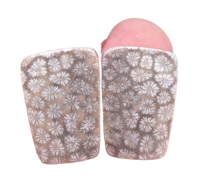 Fósil Natural de Coral, piedra semipreciosa de tamaño libre, par de gemas - Product Image 2