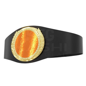 Cinturón de Campeonato de Lucha Libre Personalizado con Color Único, Correa Resistente de Cintura Alta con Placas Estampadas Estándar en mm - Product Image 3
