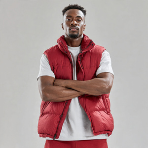 Chaleco acolchado con cremallera para hombre, cuello alto, sin mangas, chaleco acolchado para hombre, ropa de abrigo cálida para invierno, chaleco acolchado para hombre - Product Image 1