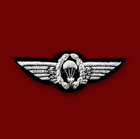 Badges brodés à la main personnalisés en fils métalliques et perles, éco-responsables, en laine, pour blazer, à coudre
