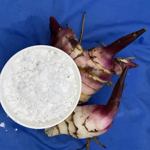 Poudre d'amidon d'arrowroot biologique de haute qualité, texture fine et goût naturel, adaptée à la transformation alimentaire, emballée en sacs, Vietnam - Product Image 1