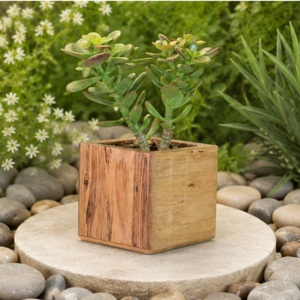 Maceta Cuadrada de Madera Hecha a Mano para Suculentas, Maceta Minimalista de Madera Sólida para Decoración de Escritorio y Oficina, Personalizable para Bodas - Product Image 2