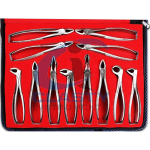 Ensemble de forceps dentaires, instrument chirurgical de classe I, poignée moletée argentée, outils d'extraction dentaire manuels, 10 pièces, étui rouge - Product Image 3