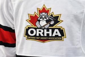 Maillots de hockey sur glace de haute qualité, nouvelle arrivée, design personnalisé, sublimation, manches longues, en vente (vérifié par PayPal) - Product Image 5