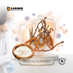 LiGNO OCS02 ®   Polvo de Ophiocordyceps Sinensis |   Polvo de Champiñones de Grado Alimenticio Premium |   Servicios OEM/ODM |   Certificado Halal - Product Image 1