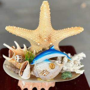 Natural Small Sea <b>Shells</b> for Aquarium Fish Tank Decoration Vietnam Factory Bulk Manufacturer Export - Product Image 1