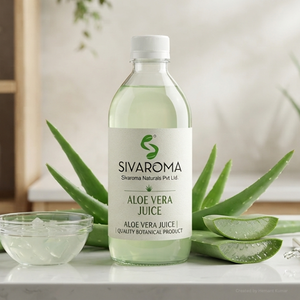 Suministro a Granel de Jugo Puro de Hoja de Aloe Vera para Compradores Internacionales, Marcas de Bebidas, Fabricantes de Cuidado Personal y Formulaciones de Productos - Product Image 6