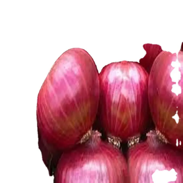 New crop of Fresh vegetables of big onion red and yellow onoins fresh best price per kg packing in onion bag