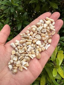 Vente en gros de copeaux d'agate de bambou blanc poli, cristal concassé 3-5 mm pour la décoration de la maison et des fêtes par AMAYRA CRYSTALS EXPORTS INDIA - Product Image 5