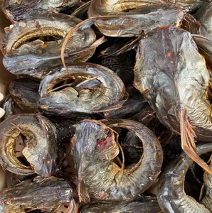 Pescado Gato Entero Ahumado y Salado 100% Natural VN Premium, Empacado al Vacío en Caja y Bolsa de 1 kg, Alimento Saludable Alto en Proteínas - Product Image 3