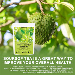 Hojas de Guanábana Vietnamita Secas al Sol de la Mejor Calidad, Puro Orgánico y Aromático, Cuidadosamente Seleccionadas, Compra al por Mayor OEM - Product Image 4