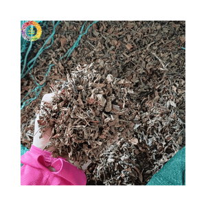 Tiges et feuilles de gelée d'herbe noire séchées de qualité export en vrac pour la fabrication de desserts à base de gelée d'herbe en usine - Product Image 2