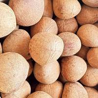 Gedroogde kokosnoot halve schelp copra, eetbaar, 65% oliegehalte, zoete smaak, watergeconserveerd, AD-drogen, vacuüm verpakt, bulk levering India