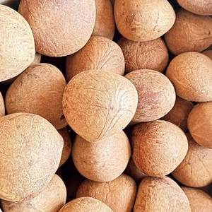 Coque de noix de coco séchée, copra, goût sucré, préservée dans l'eau, séchage AD, emballage sous vide, approvisionnement en vrac - Product Image 5