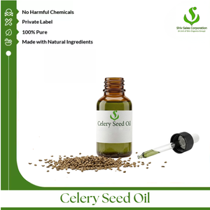 Premium Celery Seed Oil Export Supplier Serving Global B2B Buyers with Bulk Packaging for Cosmetics Personal Care and Fragrance - Product Image 1