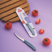 Couteau à tomates à lame droite en acier inoxydable avec manche en plastique, ambidextre, pour une découpe précise des fruits mous, des légumes et des agrumes