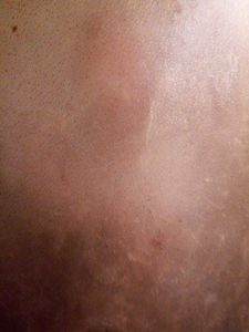 Accessoires pour instruments de musique : Peaux de tambour en poils de chèvre - Product Image 6