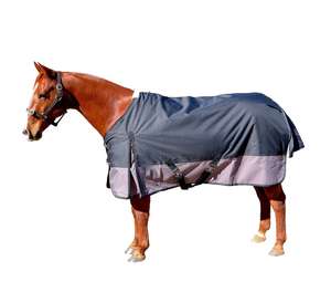 Fabricante Profesional de Productos para Equitación, Mantas para Caballos, Manta Corta para Establos, Manta Ecuestre Westcoast, Equipo Ecuestre Personalizado - Product Image 1