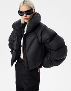 OEM Plus Size Full Zipper Waterproof Embroidered Womens Puffer <b>Jacket</b> Hood Warm Winter Outdoor Streetwear Bubble Design Custom - Product Image 5